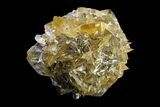 Fluorescent, Twinned Selenite Crystals - Red River Floodway #154409-1